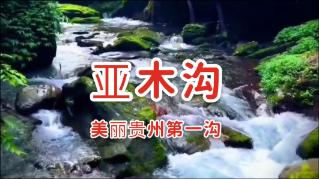 华影之星国际少年艺术团参加第十三届北京国际网络电影展，传承电影梦